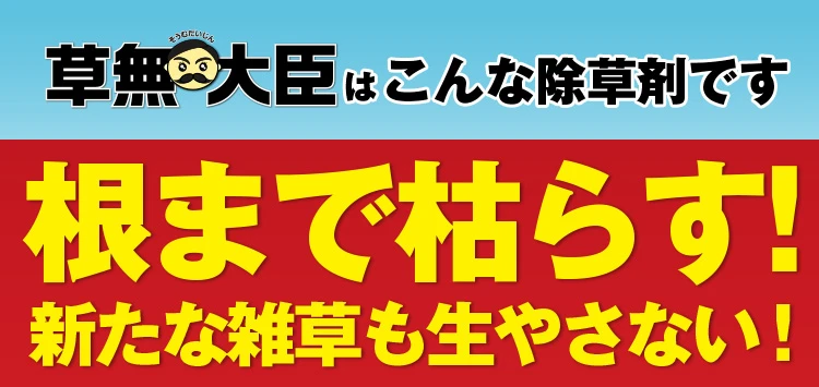 草無大臣の紹介