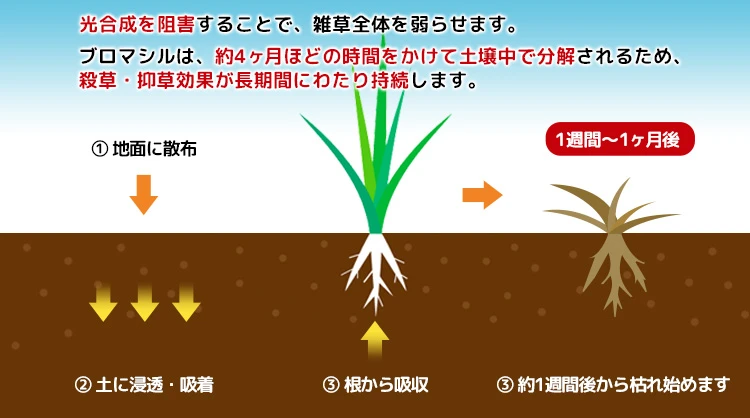 ブロマシルの効果